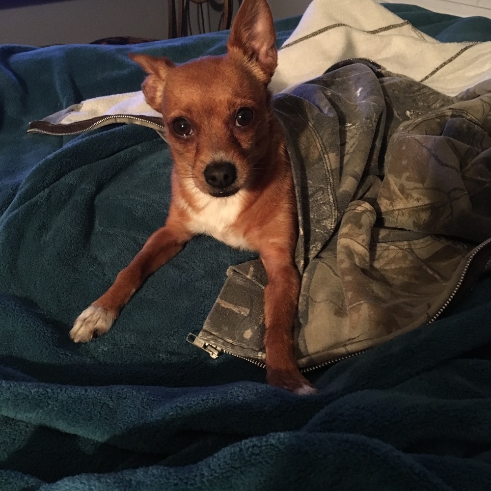 Meet your Posher, Katie